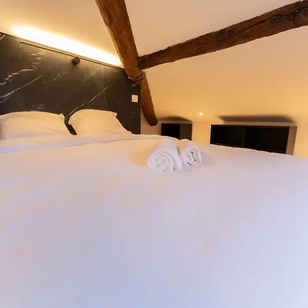 Superbe Loft - Vieux - Balneo Appartement Nice