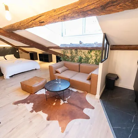 Appartement Superbe Loft - Vieux - Balneo Nice
