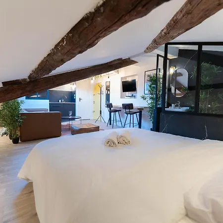 アパート Superbe Loft - Vieux - Balneo